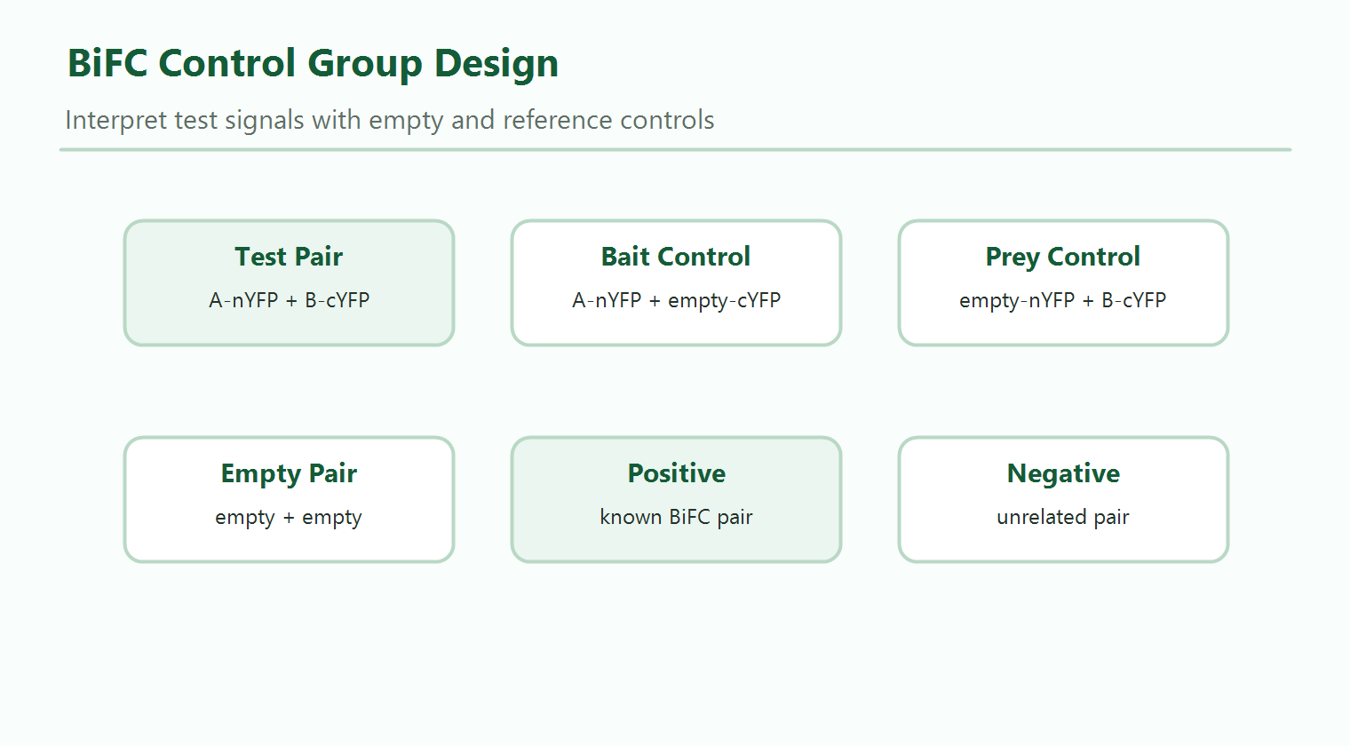 Control group design for plant BiFC interaction validation