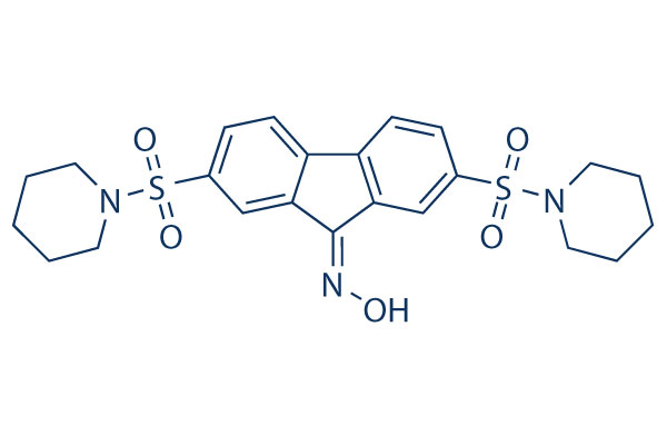 CA3 (CIL56)