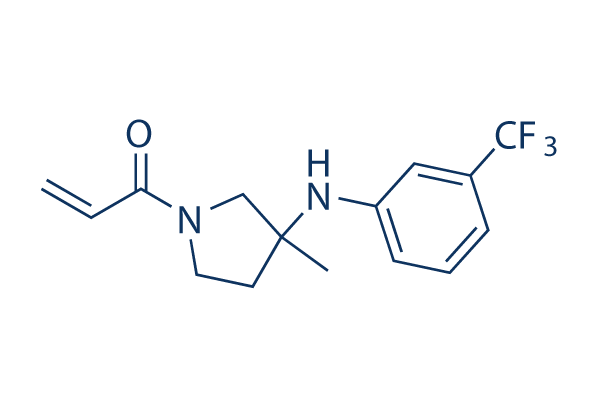 MYF-01-37